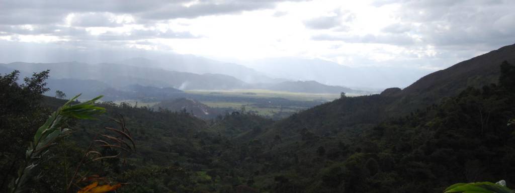 World Wide Fund for Nature (WWF UK, International & Madagascar)