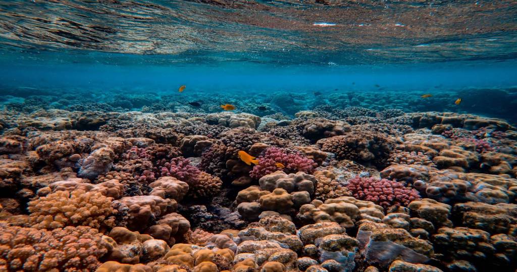 Marine Protected Areas Marine Protected Areas