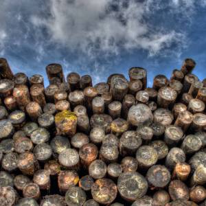 Natural Resources Governance