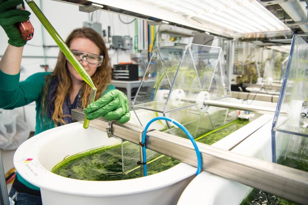 Environmental Research Environmental Research