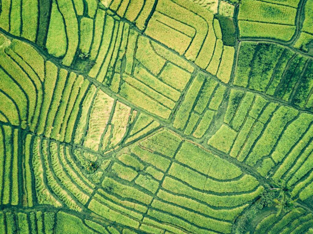 Environmental & Social Impact Assessment
