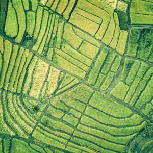Environmental & Social Impact Assessment